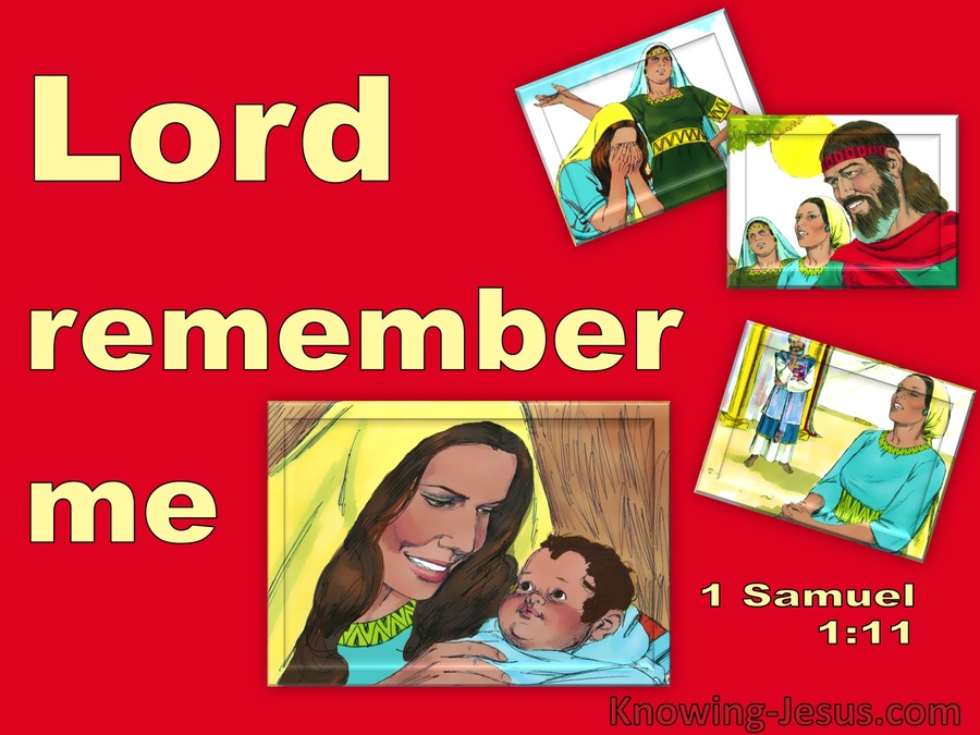 1 Samuel 1:11 Hannah Prayed Lord Remember Me (red)